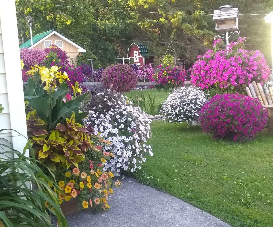סיינט איגנס Sunset Motel At Armand'S Gardens מראה חיצוני תמונה